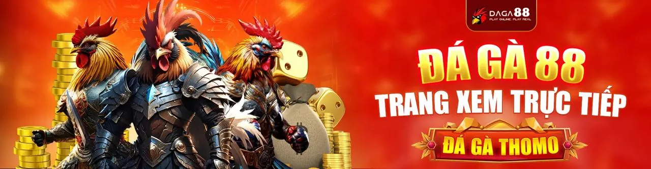 Sân Chọi Gà Trực Tuyến Hấp Dẫn tại qq288 Link Mới